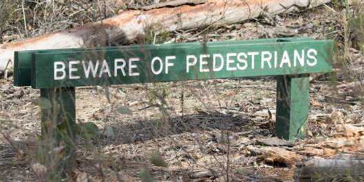 Beware Of Pedestrians